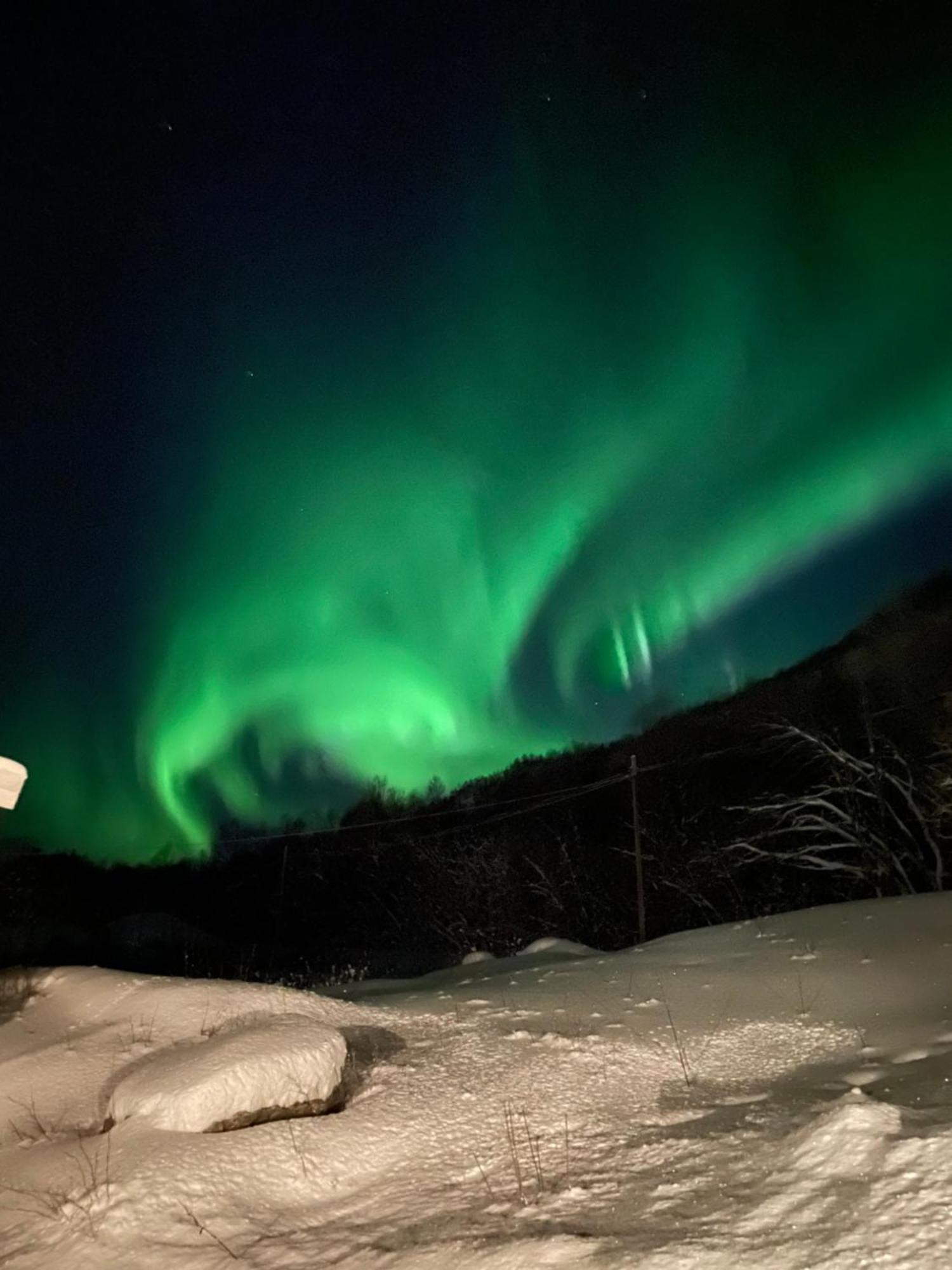 Sjarmerende Anneks I Sigerfjord, Vesteralen Sortland Bagian luar foto