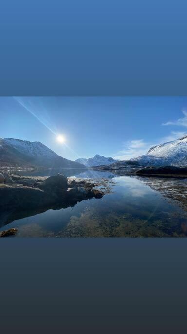 Sjarmerende Anneks I Sigerfjord, Vesteralen Sortland Bagian luar foto